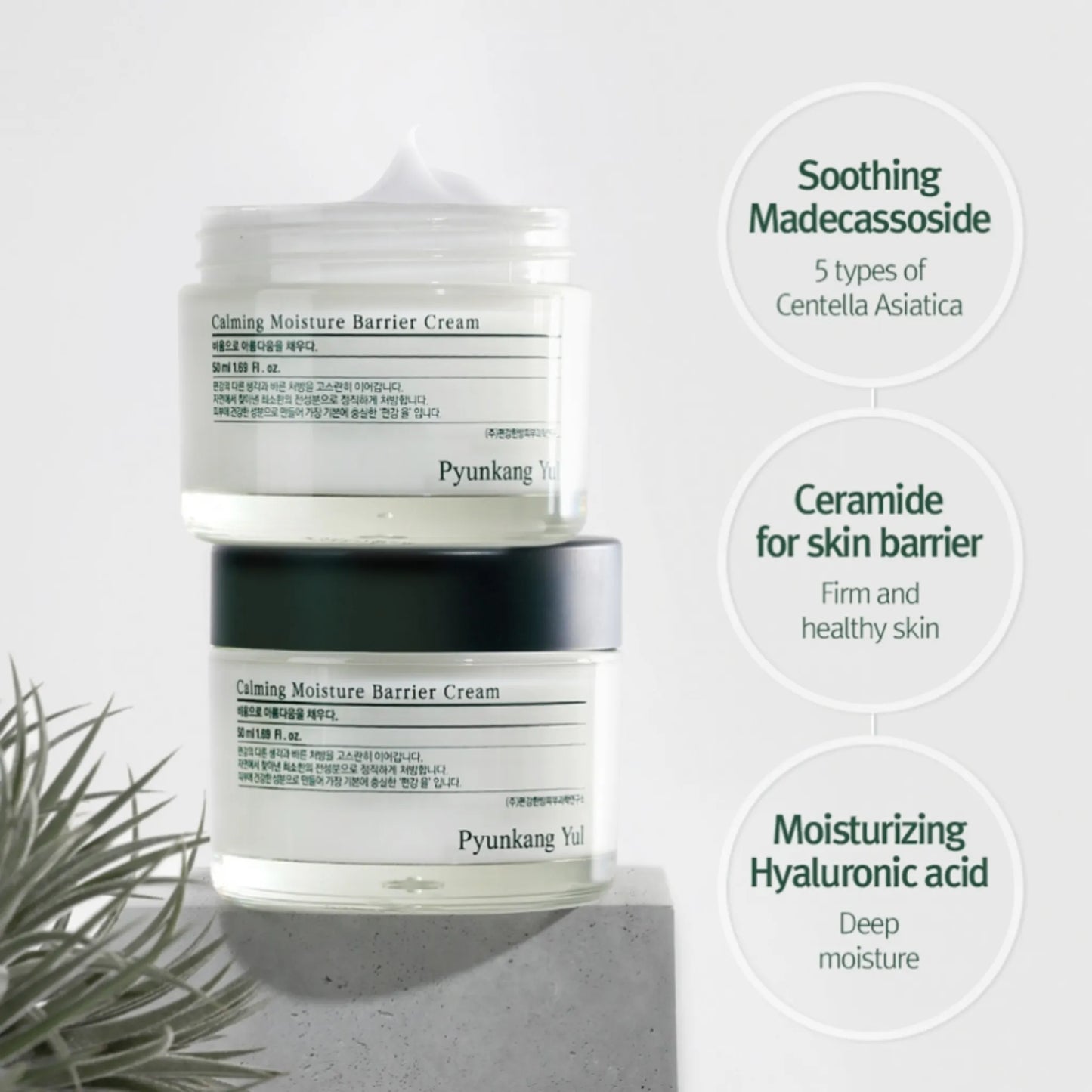 Pyunkang Yul Calming Moisture Barrier Cream 50ml, με το προϊόν να φαίνεται καθαρά, ενδυναμώνει τον φυσικό φραγμό του δέρματος, αφήνοντάς το απαλό και ελαστικό.
