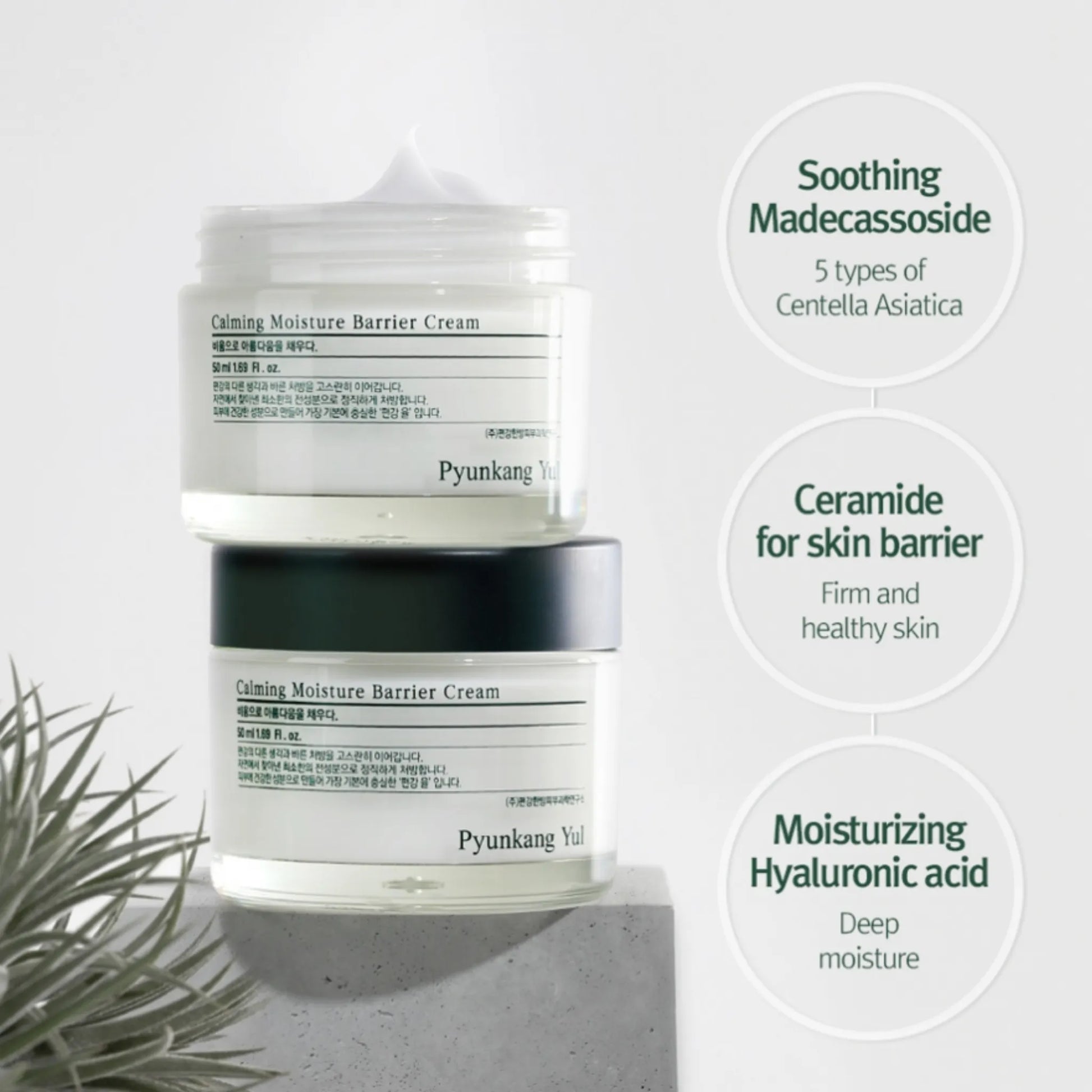 Pyunkang Yul Calming Moisture Barrier Cream 50ml, με το προϊόν να φαίνεται καθαρά, ενδυναμώνει τον φυσικό φραγμό του δέρματος, αφήνοντάς το απαλό και ελαστικό.